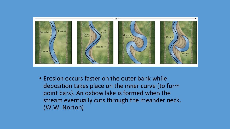  • Erosion occurs faster on the outer bank while deposition takes place on