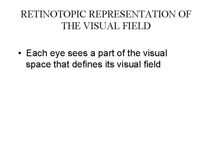 RETINOTOPIC REPRESENTATION OF THE VISUAL FIELD • Each eye sees a part of the