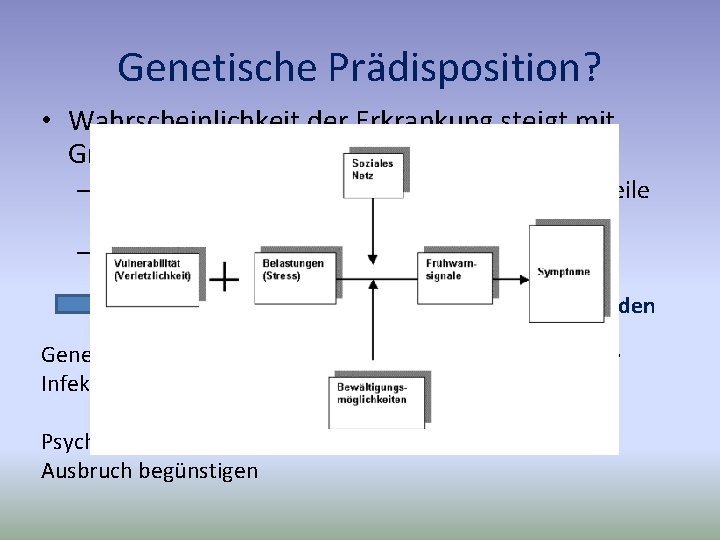 Genetische Prädisposition? • Wahrscheinlichkeit der Erkrankung steigt mit Grad der Verwandtschaft – Risiko steigt