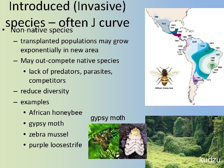 Introduced (Invasive) species – often J curve • Non-native species – transplanted populations may