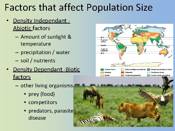 Factors that affect Population Size • Density Independant Abiotic factors – Amount of sunlight