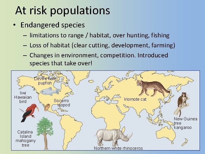 At risk populations • Endangered species – limitations to range / habitat, over hunting,