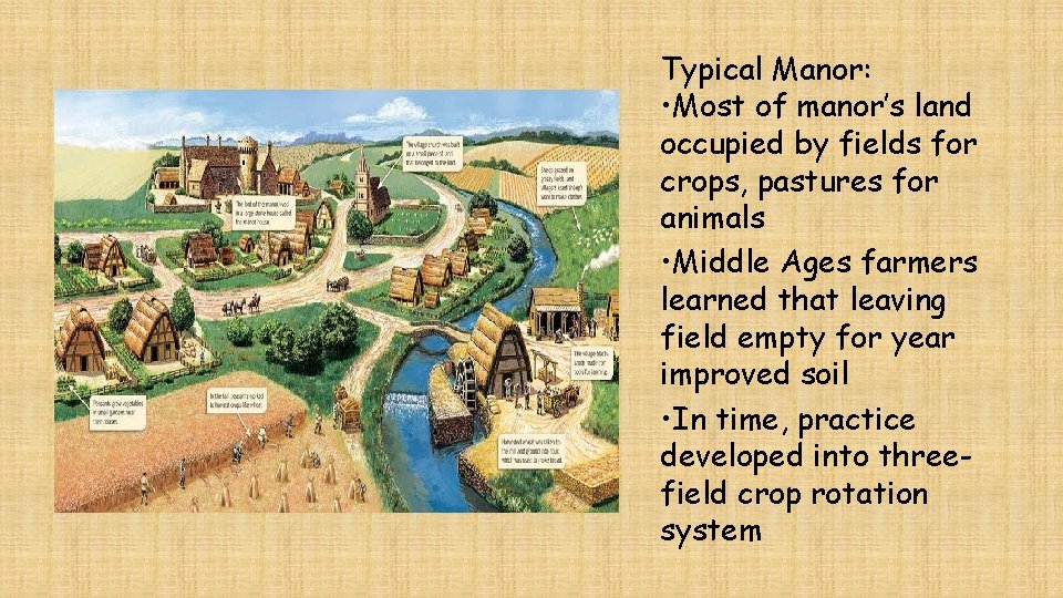 Typical Manor: • Most of manor’s land occupied by fields for crops, pastures for