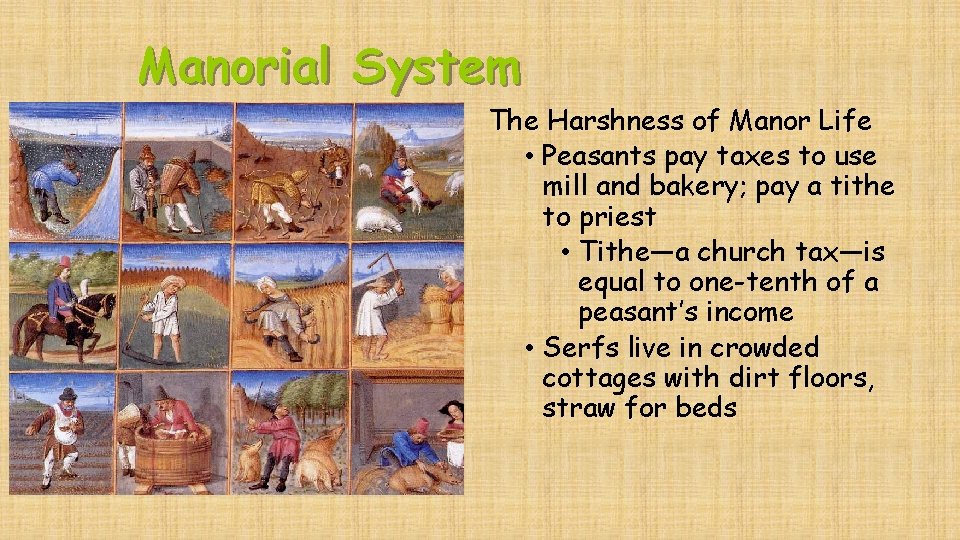 Manorial System The Harshness of Manor Life • Peasants pay taxes to use mill