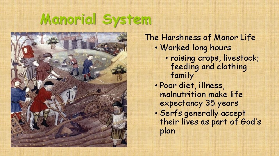 Manorial System The Harshness of Manor Life • Worked long hours • raising crops,
