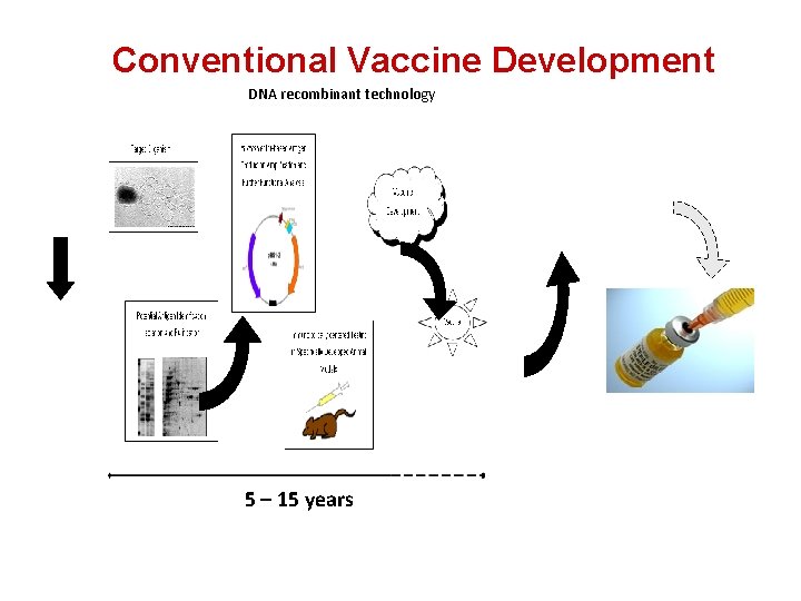 Conventional Vaccine Development DNA recombinant technology 5 – 15 years 