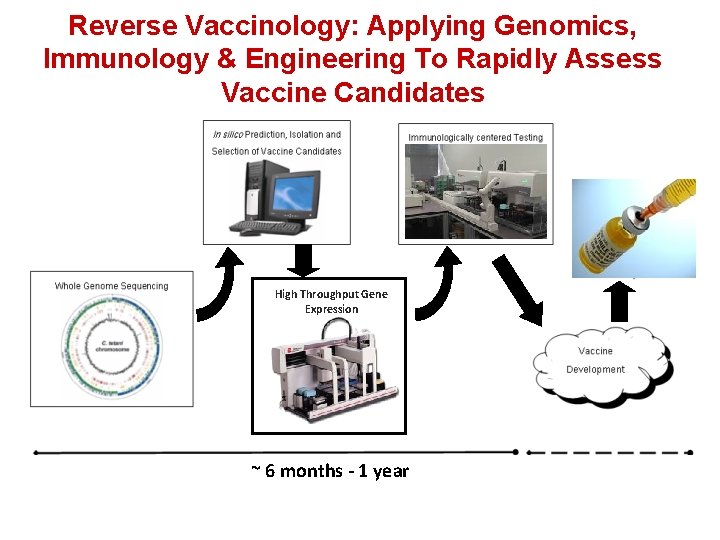 Reverse Vaccinology: Applying Genomics, Immunology & Engineering To Rapidly Assess Vaccine Candidates High Throughput