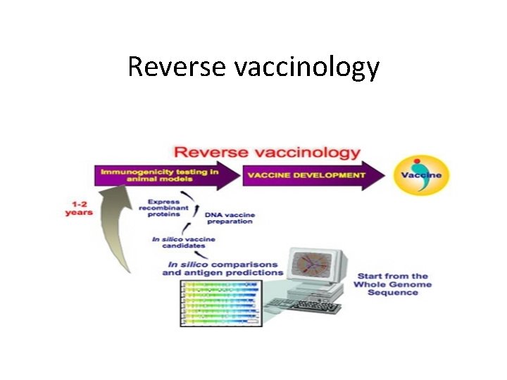 Reverse vaccinology 