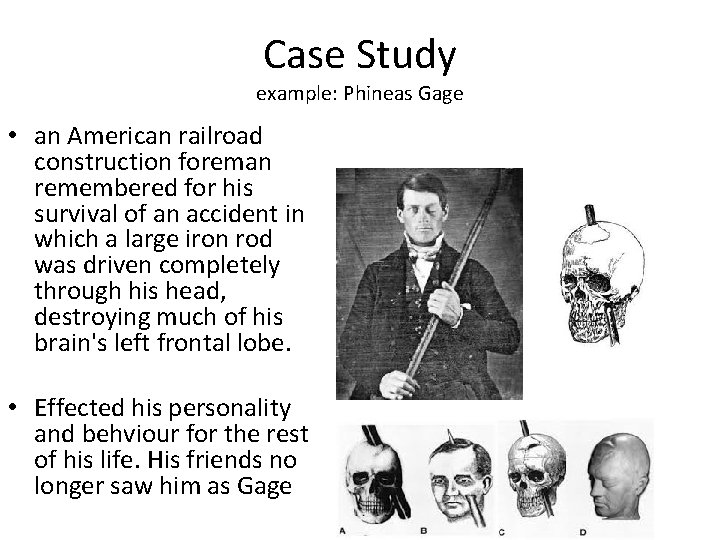 Case Study example: Phineas Gage • an American railroad construction foreman remembered for his