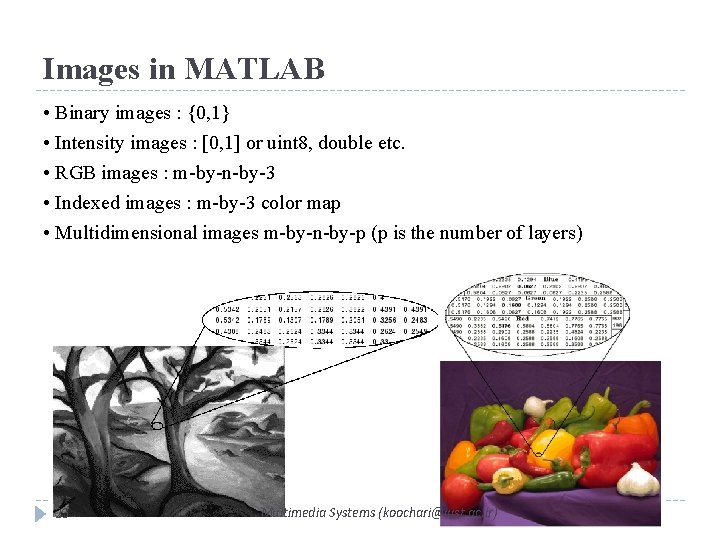 Images in MATLAB • Binary images : {0, 1} • Intensity images : [0,