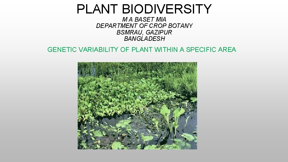 PLANT BIODIVERSITY M A BASET MIA DEPARTMENT OF CROP BOTANY BSMRAU, GAZIPUR BANGLADESH GENETIC