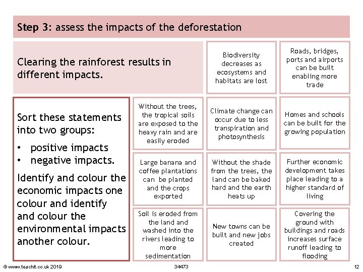 Step 3: assess the impacts of the deforestation Biodiversity decreases as ecosystems and habitats