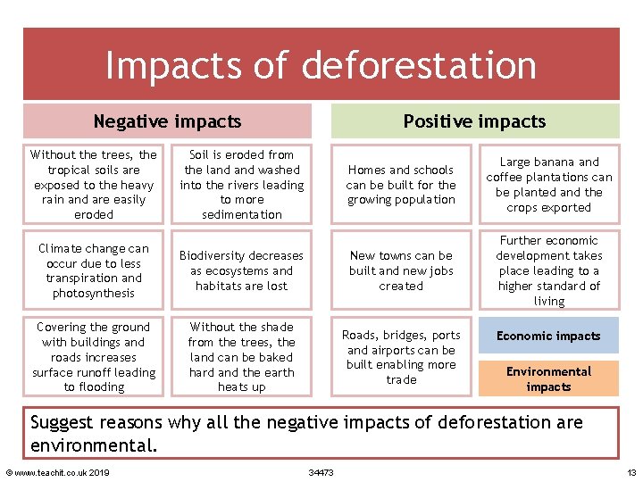 Impacts of deforestation Negative impacts Without the trees, the tropical soils are exposed to
