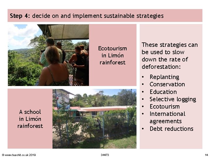 Step 4: decide on and implement sustainable strategies Ecotourism in Limón rainforest Replanting Conservation