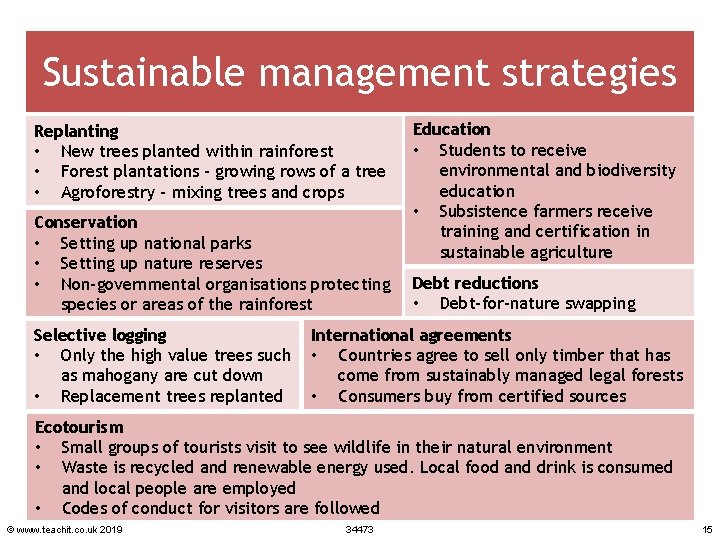 Sustainable management strategies Replanting • New trees planted within rainforest • Forest plantations –