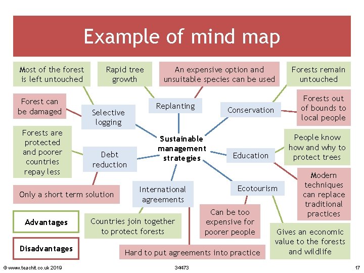 Example of mind map Most of the forest is left untouched Forest can be
