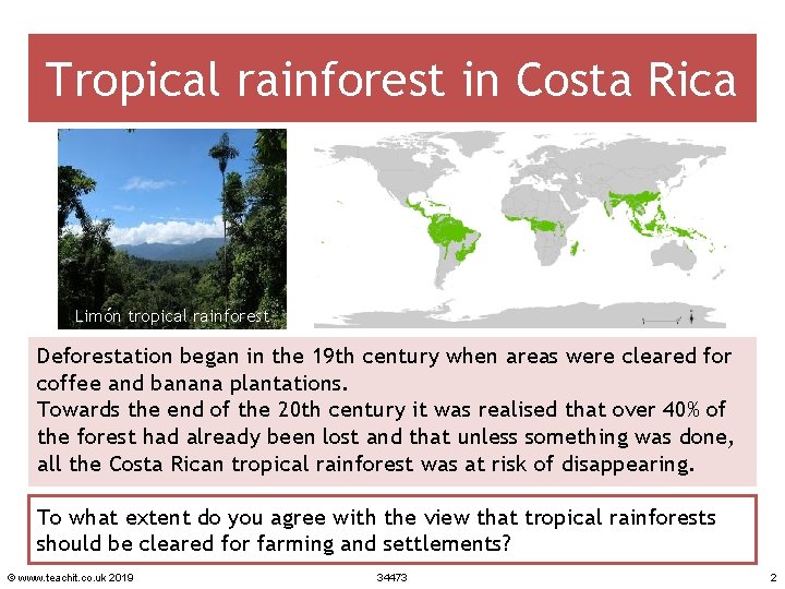 Tropical rainforest in Costa Rica Limón tropical rainforest Deforestation began in the 19 th