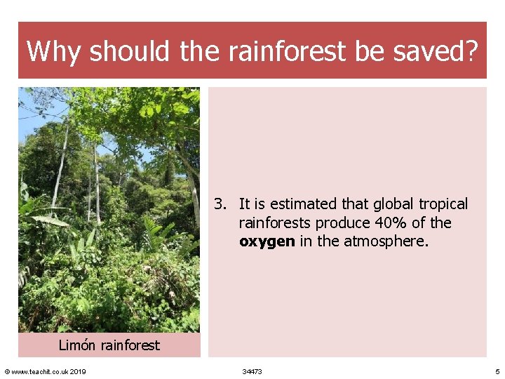 Why should the rainforest be saved? 3. It is estimated that global tropical rainforests