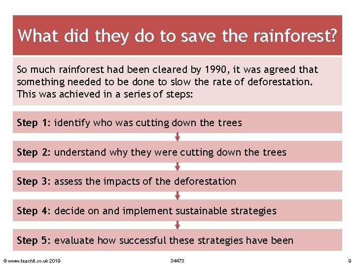 What did they do to save the rainforest? So much rainforest had been cleared