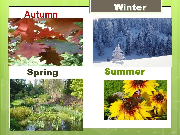 Autumn Spring Winter Summer Autumn Spring Winter Summer