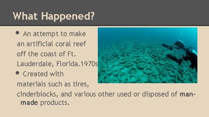 What Happened? • An attempt to make an artificial coral reef off the coast