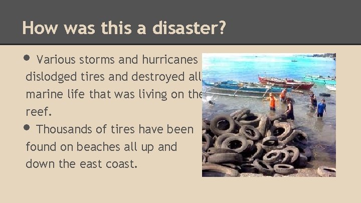 How was this a disaster? • Various storms and hurricanes dislodged tires and destroyed