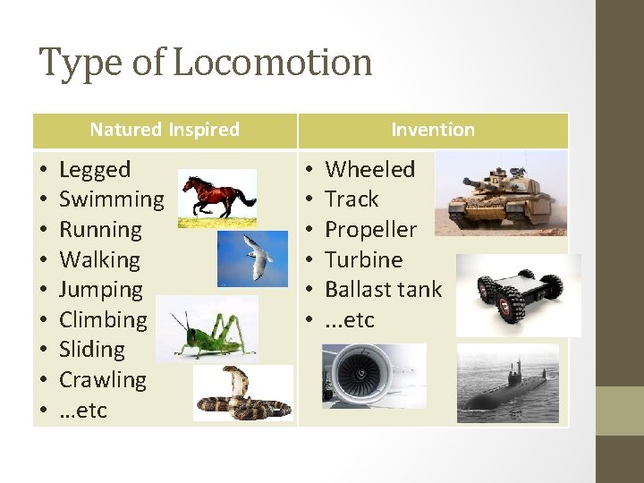 Type of Locomotion Natured Inspired • • • Legged Swimming Running Walking Jumping Climbing