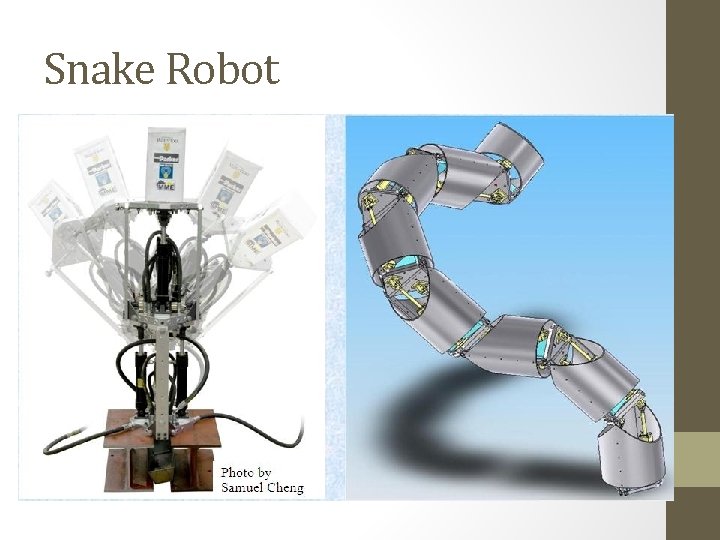 Snake Robot 