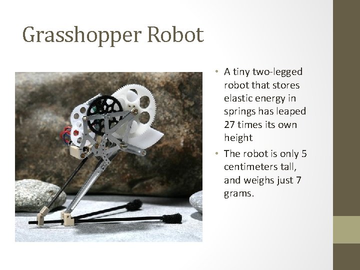 Grasshopper Robot • A tiny two-legged robot that stores elastic energy in springs has