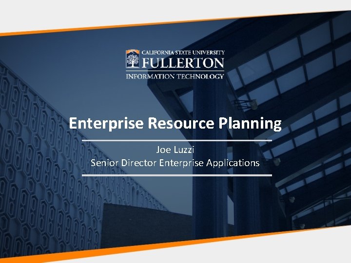 Enterprise Resource Planning Joe Luzzi Senior Director Enterprise Applications 