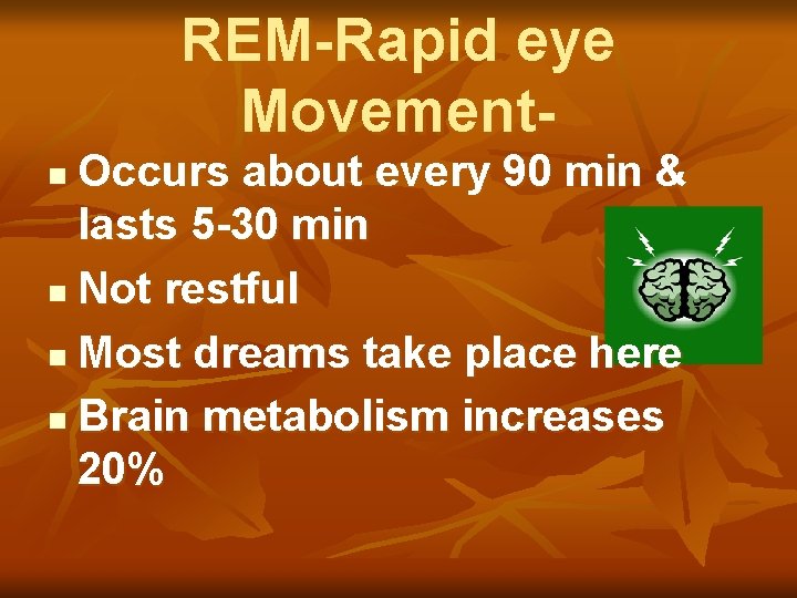 REM-Rapid eye Movement- Occurs about every 90 min & lasts 5 -30 min n