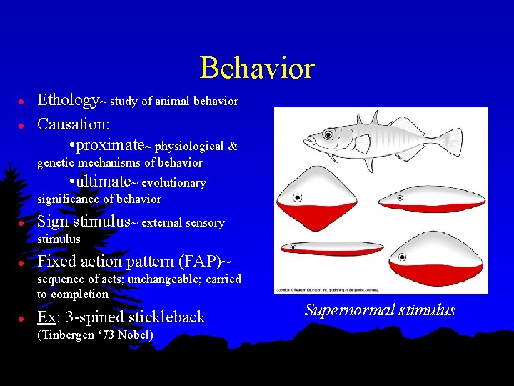 Behavior l l Ethology~ study of animal behavior Causation: • proximate~ physiological & genetic