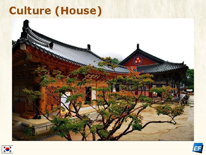 Culture (House) 