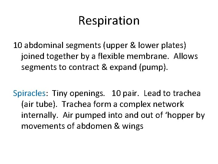 Respiration 10 abdominal segments (upper & lower plates) joined together by a flexible membrane. Respiration 10 abdominal segments (upper & lower plates) joined together by a flexible membrane.