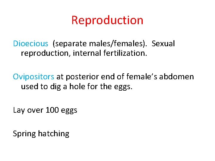 Reproduction Dioecious (separate males/females). Sexual reproduction, internal fertilization. Ovipositors at posterior end of female’s Reproduction Dioecious (separate males/females). Sexual reproduction, internal fertilization. Ovipositors at posterior end of female’s