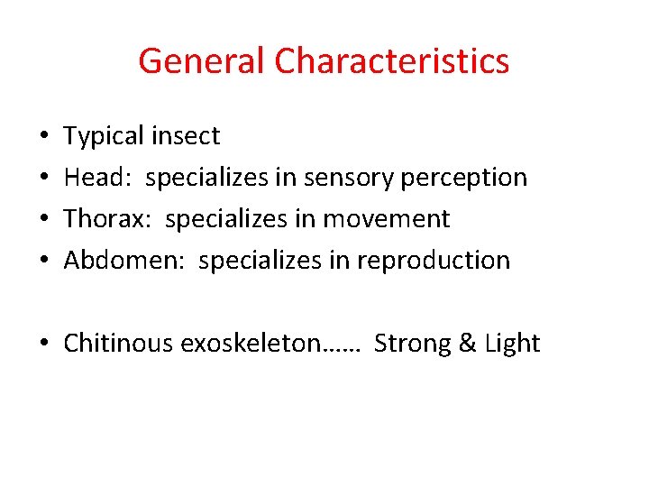 General Characteristics • • Typical insect Head: specializes in sensory perception Thorax: specializes in