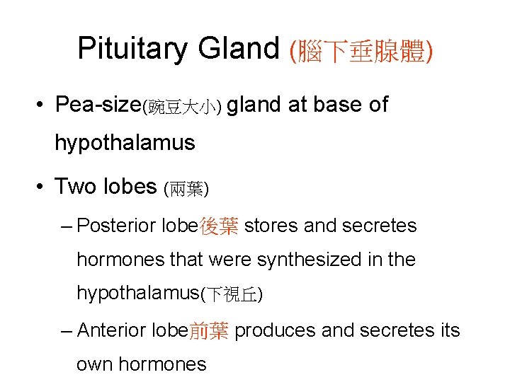 Pituitary Gland (腦下垂腺體) • Pea-size(豌豆大小) gland at base of hypothalamus • Two lobes (兩葉)