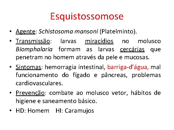 Esquistossomose • Agente: Schistosoma mansoni (Platelminto). • Transmissão: larvas miracídios no molusco Biomphalaria formam