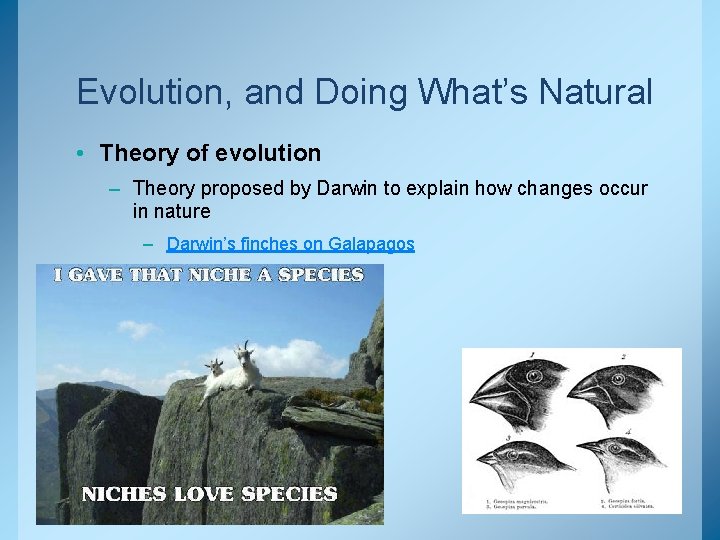 Evolution, and Doing What’s Natural • Theory of evolution – Theory proposed by Darwin