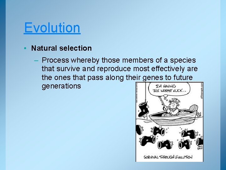 Evolution • Natural selection – Process whereby those members of a species that survive