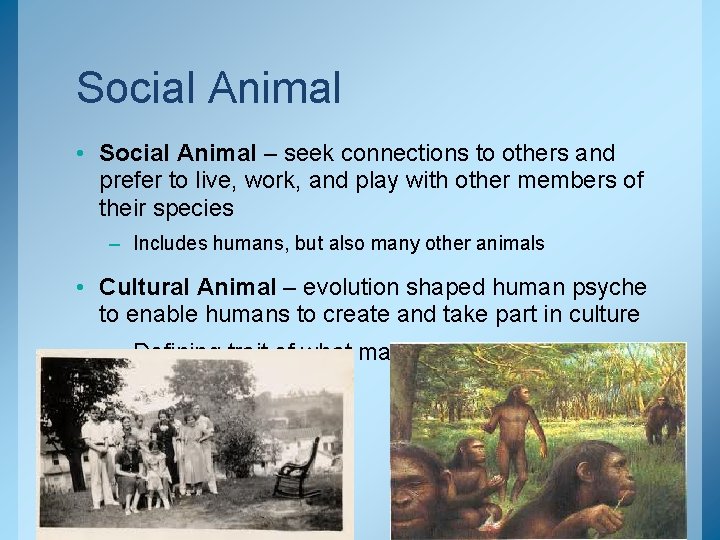 Social Animal • Social Animal – seek connections to others and prefer to live,