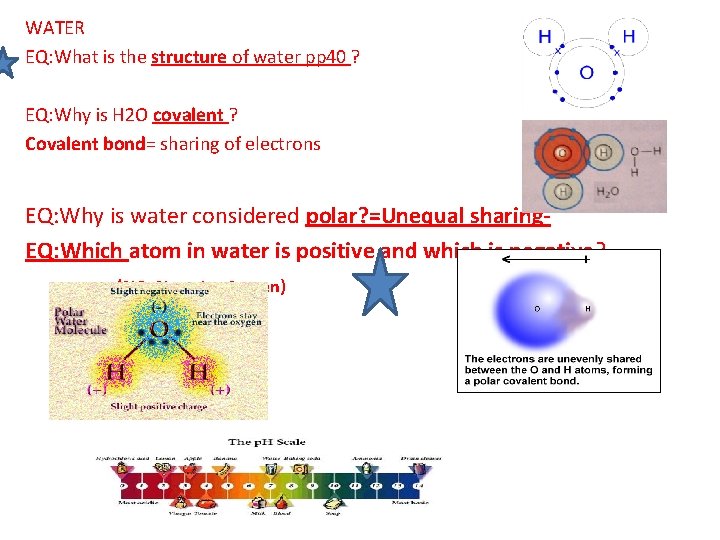 WATER EQ: What is the structure of water pp 40 ? EQ: Why is