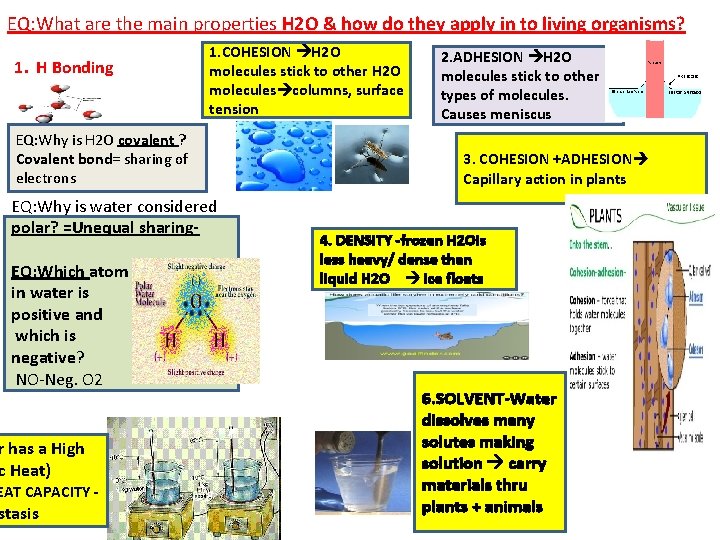 EQ: What are the main properties H 2 O & how do they apply