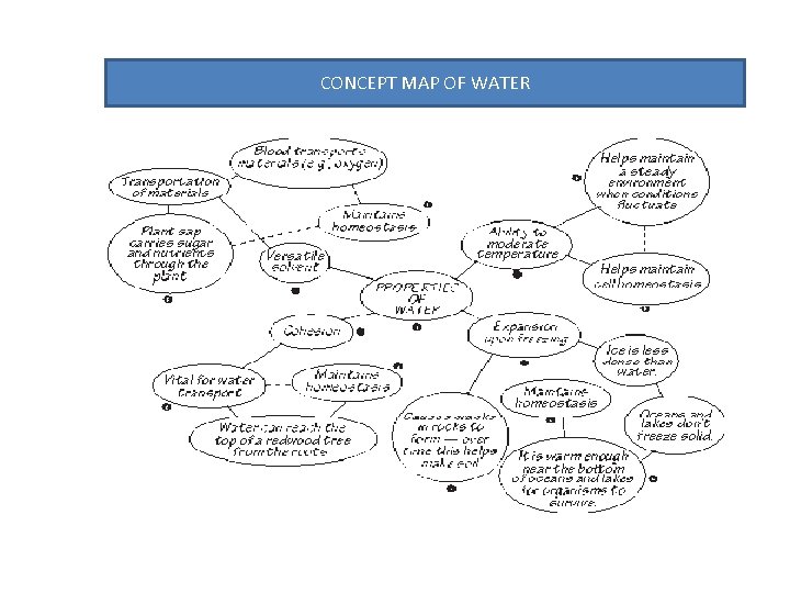CONCEPT MAP OF WATER 