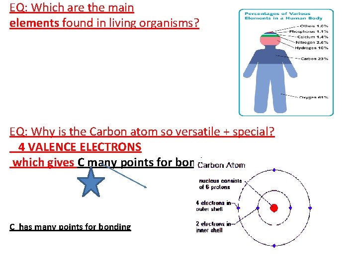 EQ: Which are the main elements found in living organisms? EQ: Why is the