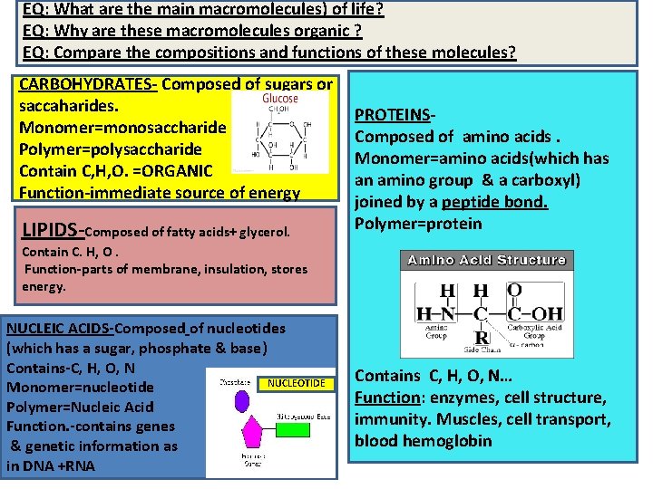 EQ: What are the main macromolecules) of life? EQ: Why are these macromolecules organic