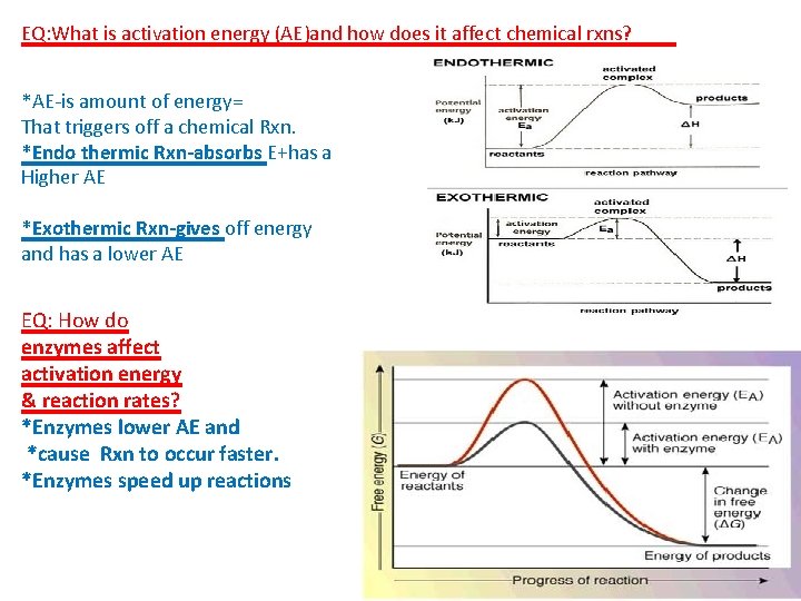 EQ: What is activation energy (AE)and how does it affect chemical rxns? *AE-is amount