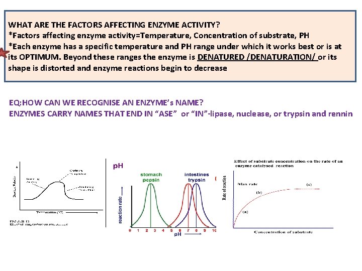 WHAT ARE THE FACTORS AFFECTING ENZYME ACTIVITY? *Factors affecting enzyme activity=Temperature, Concentration of substrate,