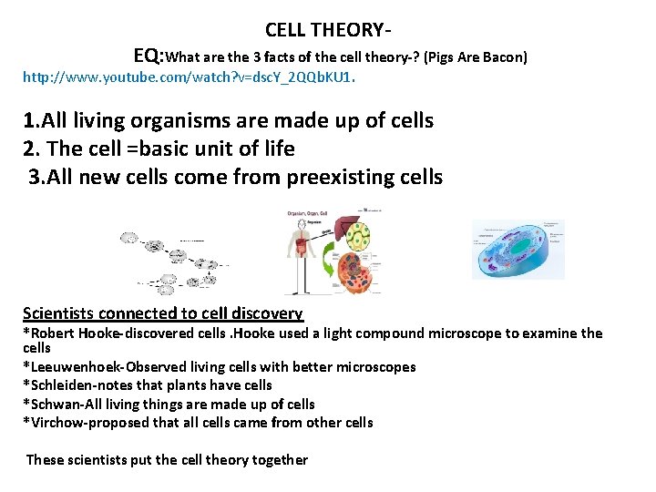 CELL THEORY- EQ: What are the 3 facts of the cell theory-? (Pigs Are