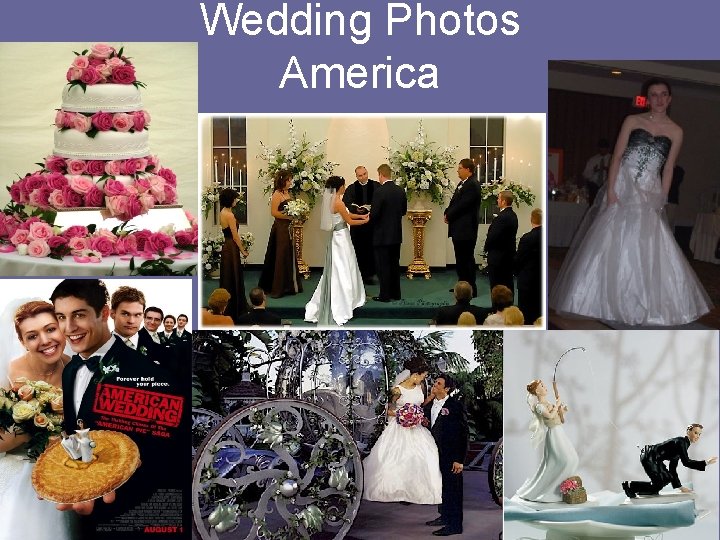 Wedding Photos America 